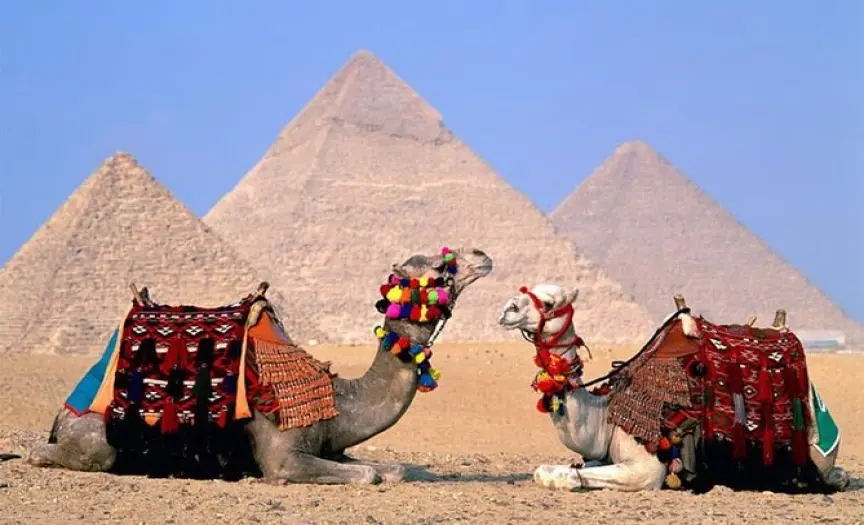 Private Giza Pyramids tour & Saqqara & Memphis