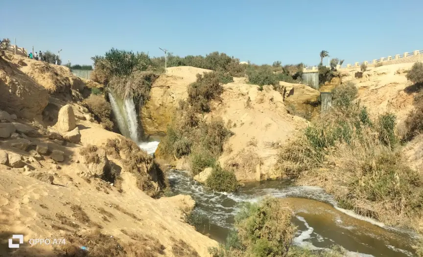 1-Day Adventure in Fayoum: Fossils, Lakes & Sandboarding