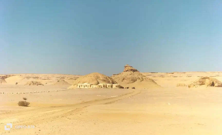 1-Day Adventure in Fayoum: Fossils, Lakes & Sandboarding