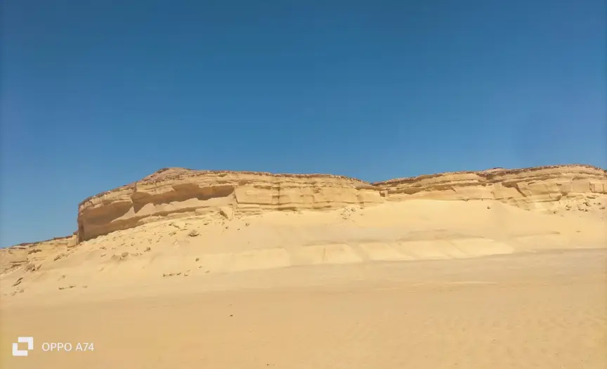 1-Day Adventure in Fayoum: Fossils, Lakes & Sandboarding