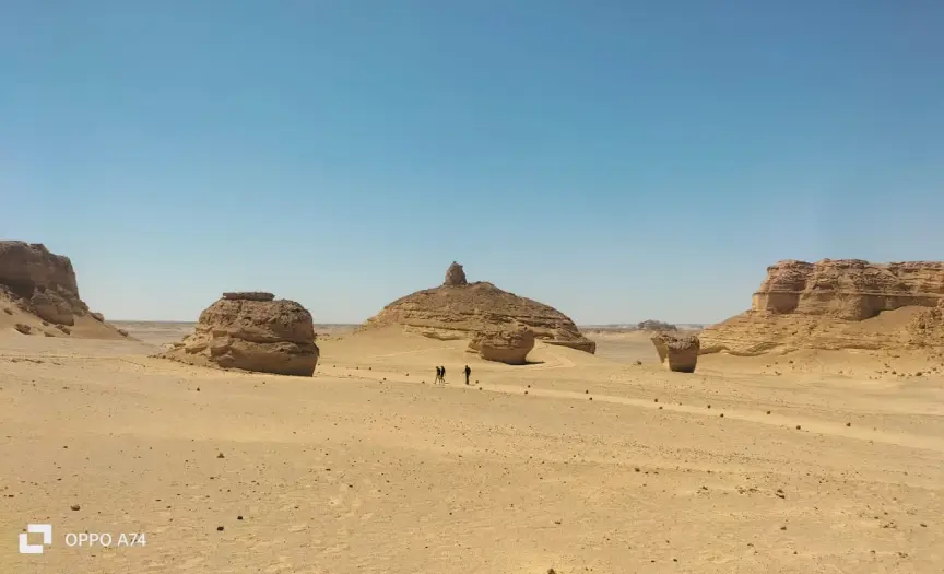 1-Day Adventure in Fayoum: Fossils, Lakes & Sandboarding