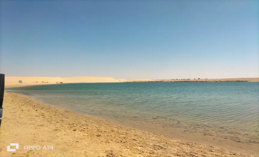 2-Day Adventure in Fayoum: Fossils, Caves & Sandboarding